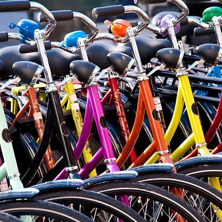 弗兰肯塔尔维克多的宫殿酒店 酒店 法兰肯塔尔