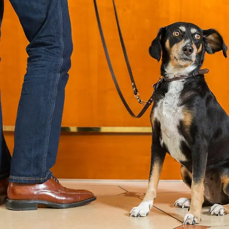 Hotel Victor's Residenz-hotel