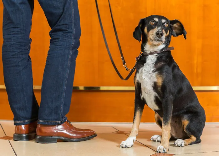 Hotel Victor's Residenz-hotel